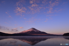 希望の朝だ