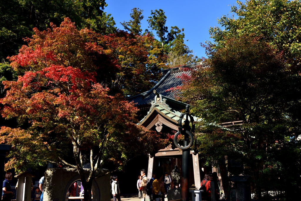 ”高尾山薬王院の紅葉”