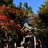 ”高尾山薬王院の紅葉”