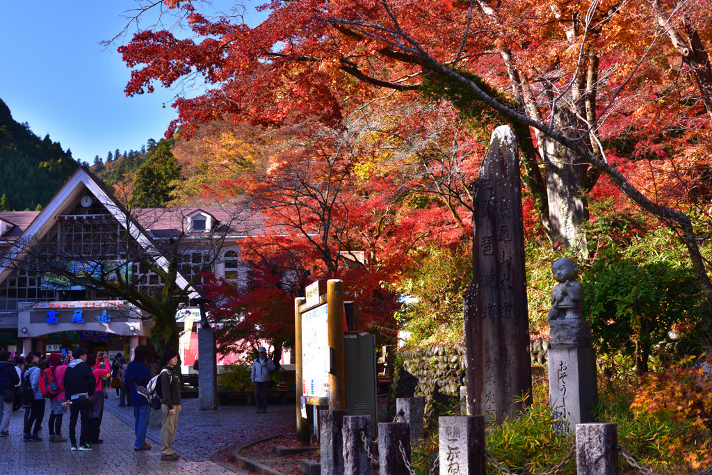 高尾に紅葉を求め