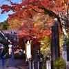高尾に紅葉を求め