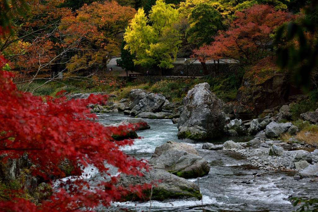 ”御岳の渓流”