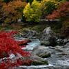 ”御岳の渓流”