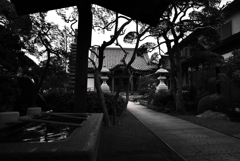 ”お寺の境内”