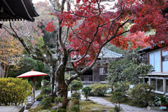 晩秋の鎌倉海蔵寺