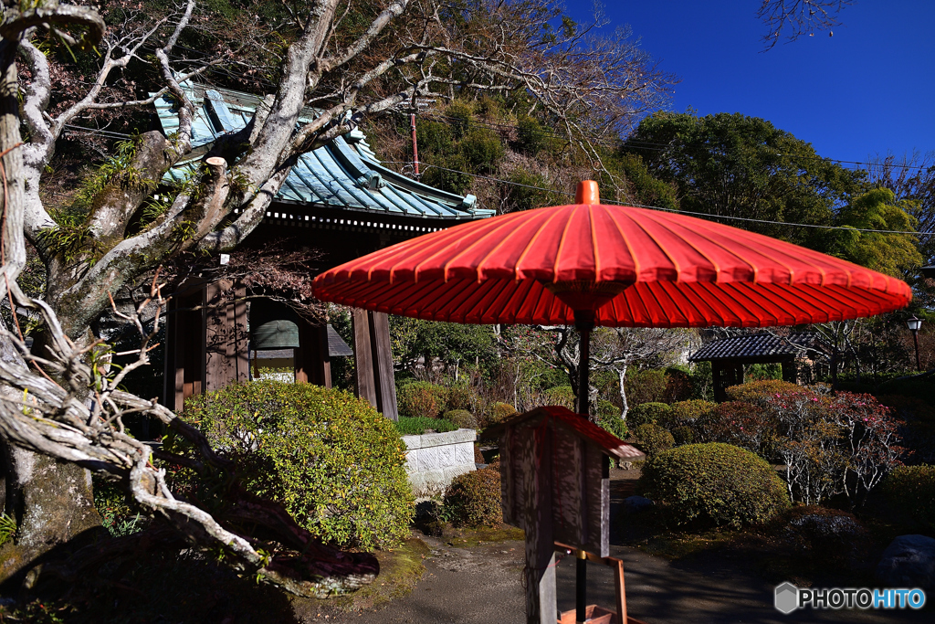 朱が眩しい海蔵寺