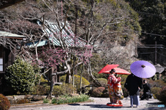 前撮りで賑わう海蔵寺