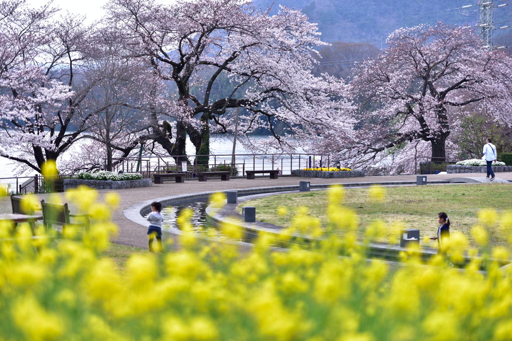 花と水の苑地