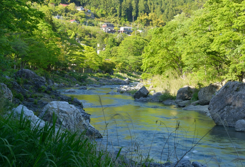 "奥多摩も春色”