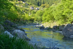 "奥多摩も春色”