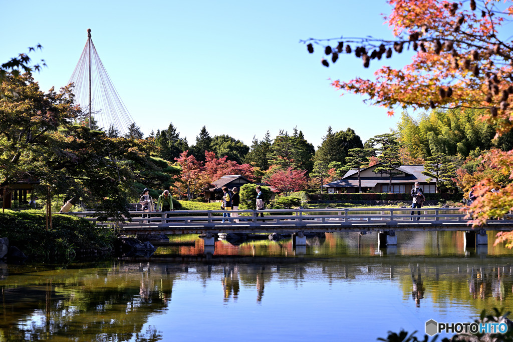 燃えだした日本庭園Ⅲ