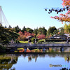 燃えだした日本庭園Ⅲ