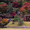 花嫁たちの紅舞台