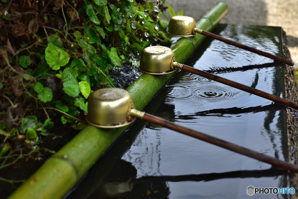 聖水の波紋