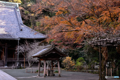 まだ見頃な鎌倉寺院