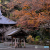 まだ見頃な鎌倉寺院