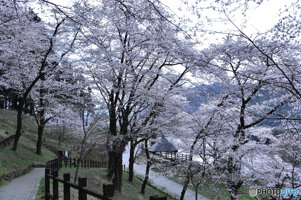 城址の煌めく季節