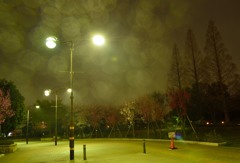 ”二日酔いー1”