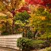 ”見本庭園”