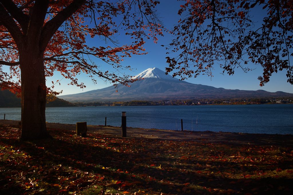 落ち葉と富士山