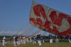 相模大凧（展示準備）