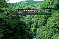 渓谷の箱根登山鉄道
