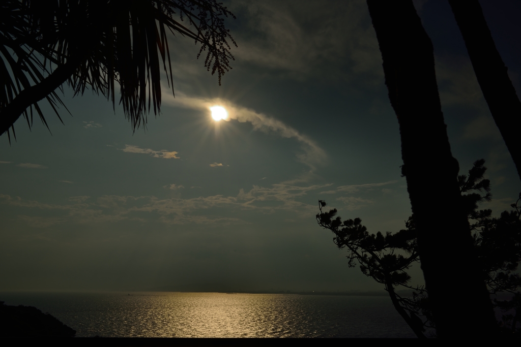 穏やかな湘南の海！