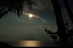 穏やかな湘南の海！