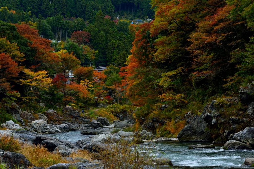 ”御岳渓谷の紅葉”
