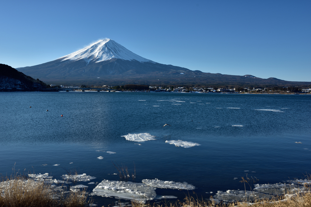 チョットだけ流氷！