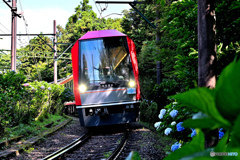 眩い新型車両