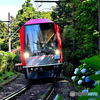 眩い新型車両
