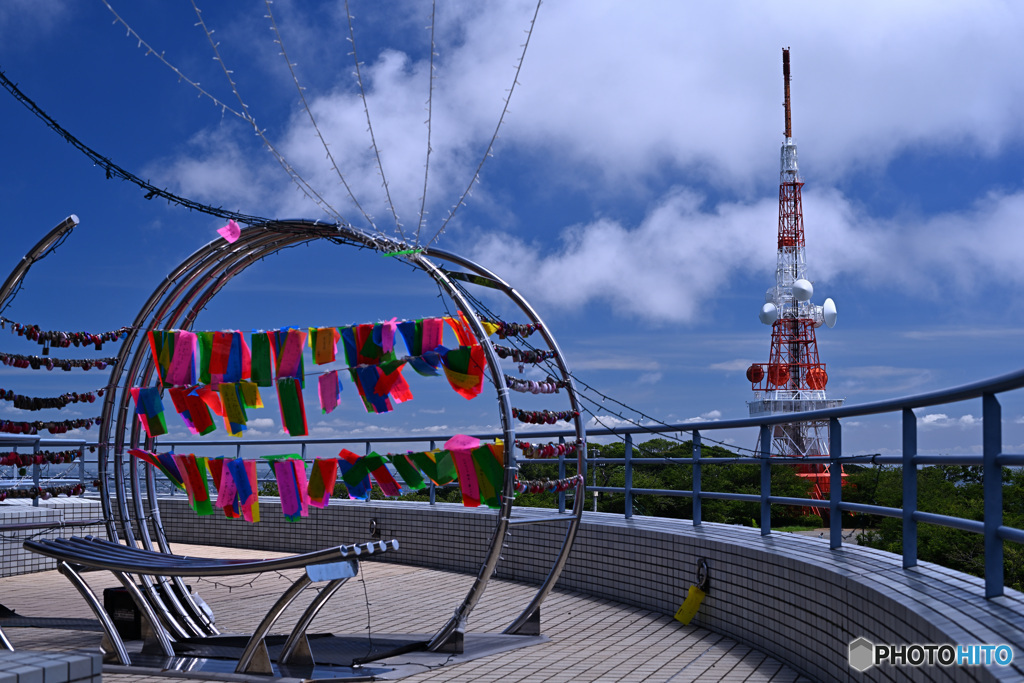 誰と契りますか。。