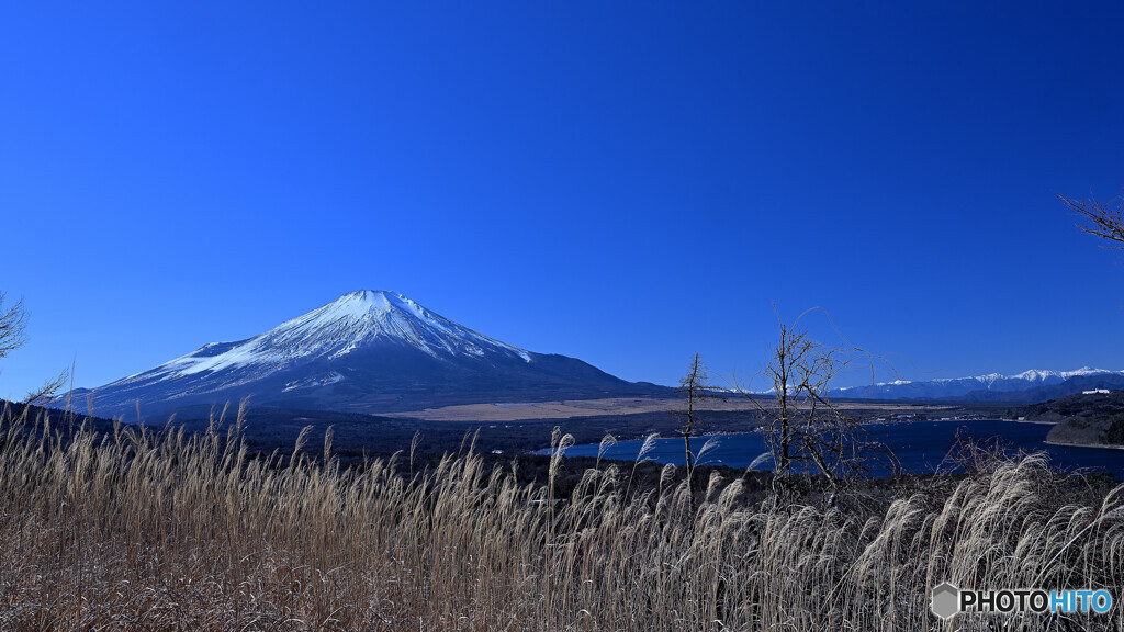登山道からの快晴富士