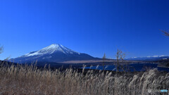 登山道からの快晴富士