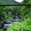 鳩ノ巣吊り橋