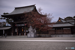 初参拝の寒川神社