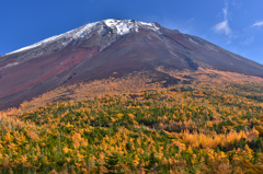 富士の森林限界