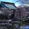 和みの古寺庭園