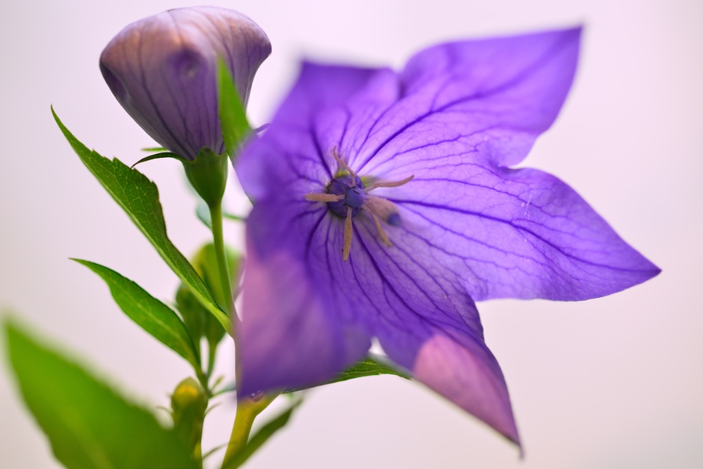 ～変わらぬ愛～