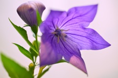 ～変わらぬ愛～