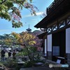 秋を撮る