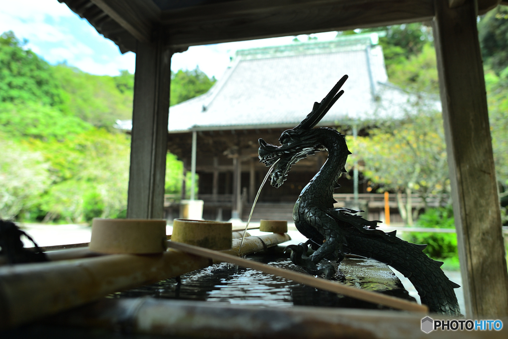 見守る龍神