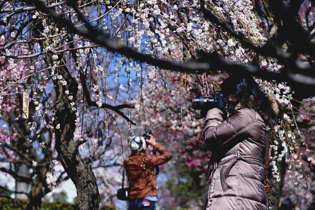 ”それぞれの狙い”