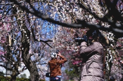 ”それぞれの狙い”