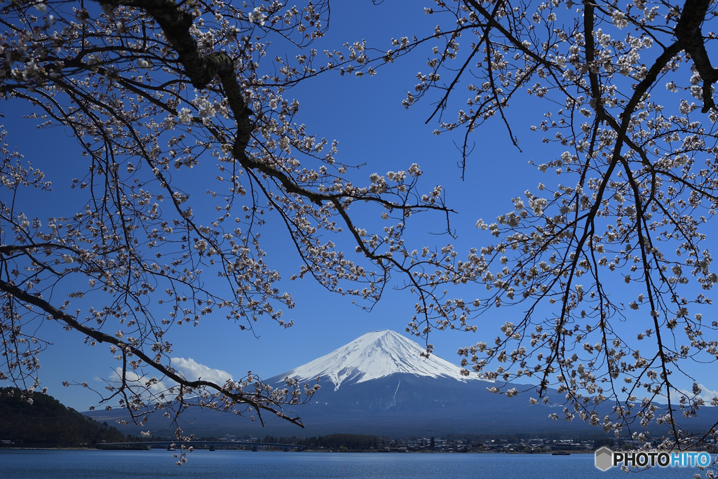 4月の青空に