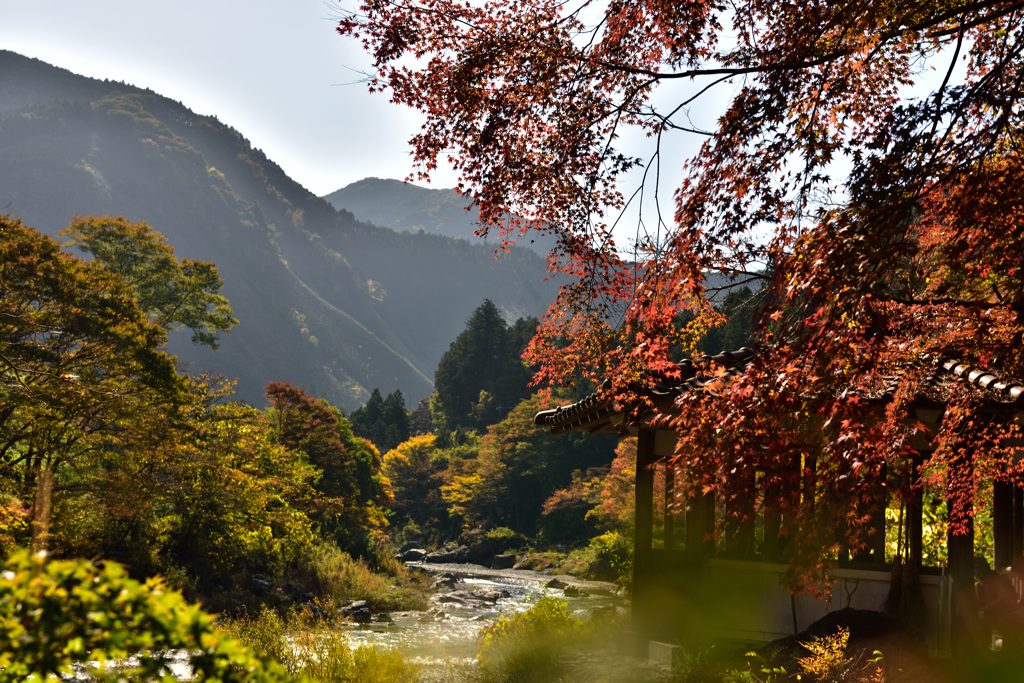 御岳渓谷の紅葉Ⅱ