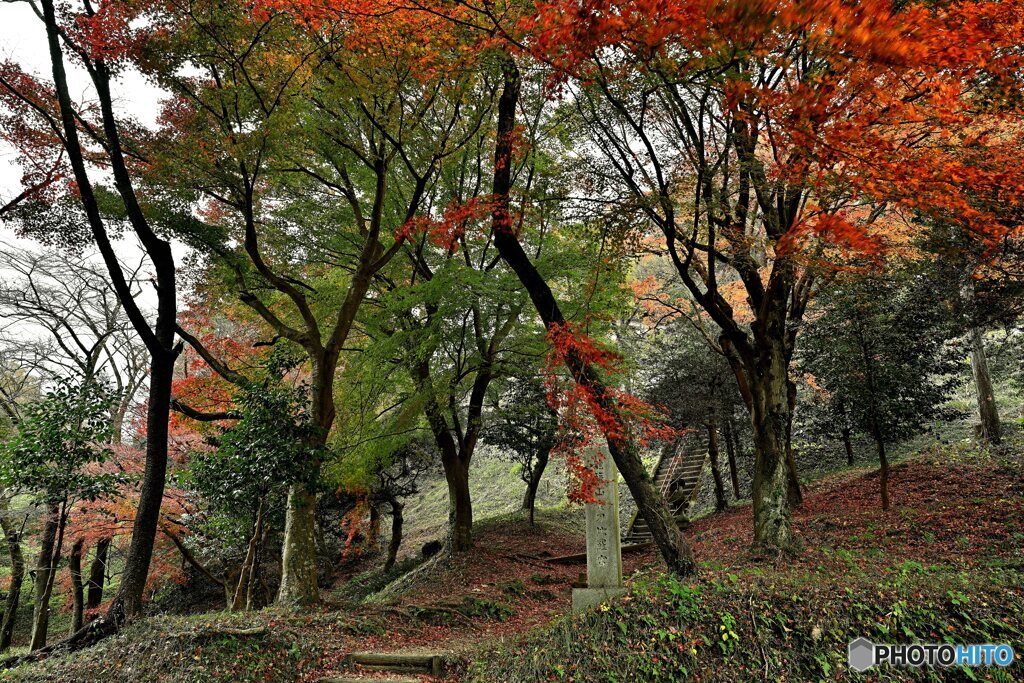 我が村も紅葉狩りの季節に