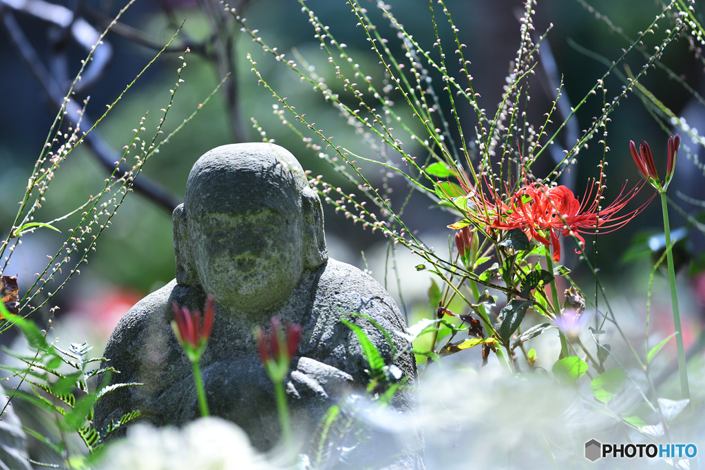 花に包まれほっこり地蔵