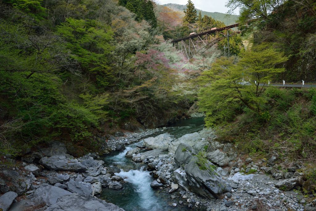 奥多摩の吊り橋から！